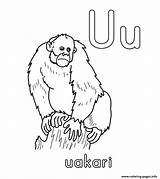 Uakari Coloring Alphabet Pages Printable Print Color sketch template