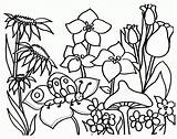 Coloring Garden Pages Flower Library Clipart sketch template