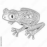 Frog Zentangle sketch template