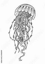 Jellyfish Coloring Illustrations Zentangle Adult Clip Vector Template Sketch sketch template