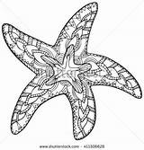 Starfish Zentangle Sketch Vector Choose Board Ocean sketch template