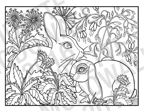 rabbits  printable adult coloring page etsy