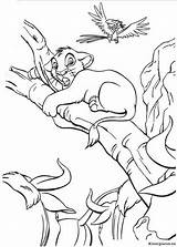 Leeuwenkoning Simba Roi Tak Disegni Klimt Leone Pumbaa Timon Downloaden Vriend Uitprinten Naar Zo Coloriages sketch template