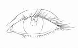 Eye Lineart Line Aare Drawings Clipart Deviantart Color Coloring Pages Cartoon Library Colouring Choose Board sketch template