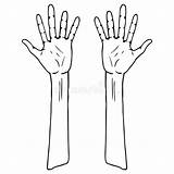 Menselijke Handgetrokken Illustratie Handpalm Twee Handen Vingers Vektoren Illustrationen sketch template