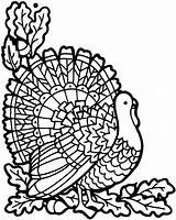 Coloring Pages November Turkey Thanksgiving Printable Adults Pdf Kids Color Sheets Head Print Adult Printables Getcolorings Advanced Template Printouts Colouring sketch template