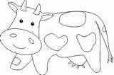 Krowa Zapisano Zwierzęta Kolorowanki sketch template