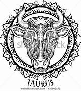 Taurus Aztec Filigree Zentangle Tattoos Constellation sketch template