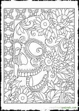 Coloring Skull Adult Sugar Pages Adults Popular Color sketch template