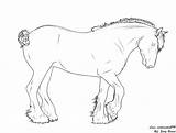 Clydesdale Coloring Lines Deviantart Drawings Designlooter 27kb 682px sketch template