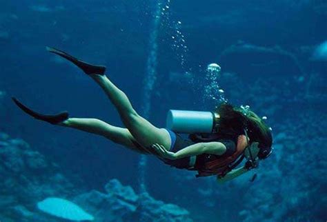 scuba diving notsoboringlifecom