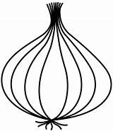 Onion Clipart Garlic Drawing Sketch Transparent Svg Draw Allium Leaves Vector Getdrawings Clipartmag Drawings Webstockreview Designlooter Research Stock Open 41kb sketch template