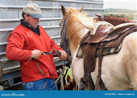 rodeo stock photo image  hand close leather riding