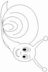 Schnecken Slakken Ausmalbilder Escargot Coloriages Siput Escargots Colorare Malvorlagen Bergerak Schnecke Mewarnai Animasi Snails Lumache Slak Animierte Lumaca Animaatjes Malvorlage sketch template