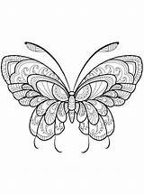 Vlinders Moeilijk Kleurplaat Butterflies Schwer Schmetterlinge Kleurplaten Malvorlage Vlinder sketch template