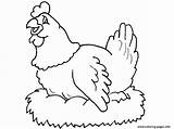 Hen Coloring Pages Hens Farm Animal Printable Roosters Color Chickens Kids Chicken Print Chicks Nest Online Rooster Animals Lay Nestle sketch template