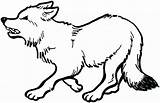 Coloring Pages Wolf Red Getcolorings Color sketch template