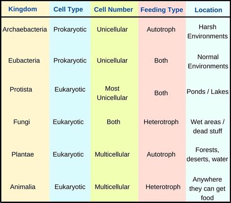 Eubacteria Kingdom Characteristics