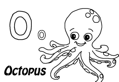 octopus coloring pages  kids octopus colors octopus coloring page