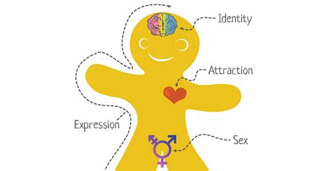 the genderbread person a free online resource for