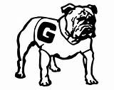 Coloring Georgia Bulldog Pages Bulldogs Drawings University Printable Color Logo Print Drawing Clipart Template Getcolorings Getdrawings Colouring Comments Paintingvalley Keeffe sketch template