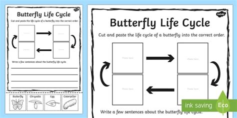 butterfly life cycle sentence writing worksheet twinkl