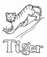 Coloring Pages Alphabet Pre Letter Tiger Color Abc Activity Easy Printables Printable Sheet Drawing Print Letters Sheets Objects Simple Honkingdonkey sketch template