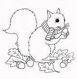 Squirrel Tes Does sketch template