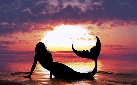 mermaid silhouette mermaids photo  fanpop