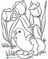 Spring Coloring Pages Related sketch template
