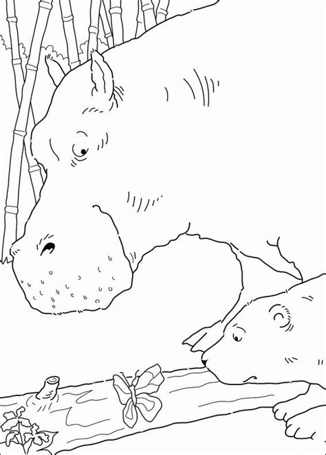 coloring page   polar bear coloring pages