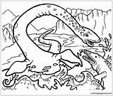 Plesiosaurus Pages Coloring Online Coloringpagesonly Color Printable Dinosaurs sketch template