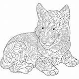 Dog Husky Coloring Cute Pages Adults Siberian Adult Zentangle Puppy Colouring Printable Animal Sheets Book Etsy Choose Board Print Getdrawings sketch template