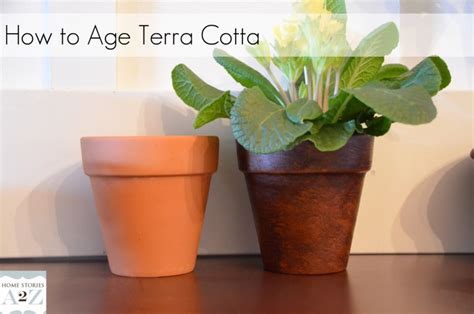 easily age terra cotta pots cotta