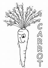 Carrot Coloring Pages Color Orange sketch template