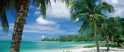 discover food cayman islands nomnom lgmediapr