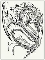Dragon Coloring Pages Adults Realistic Printable Adult Chinese Lizard Evil Dragons Print Real Color Flying Cool Hard Simple Only Getcolorings sketch template