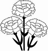 Carnation Clip Coloring Clipart Flower Carnations Cliparts Pages Clipartbest Library Standard 20clipart 20flower sketch template