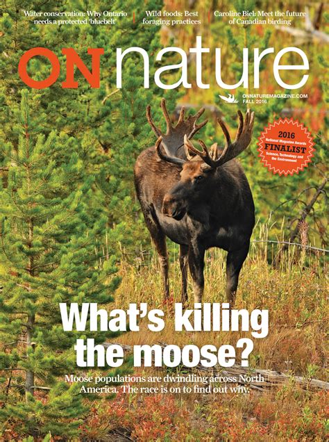 nature magazine fall page