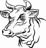 Coloring Pages Bull Animals Cow Cartoon Head Toros Taurus Dibujos Drawing Farm Abarrotes Lizeth Carniceria Printable Line Contour Cross Clipartbest sketch template