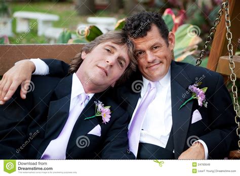 handsome gay wedding couple royalty free stock images
