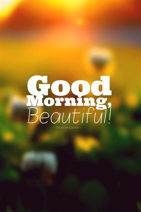 Good Morning Beautiful  735×1102 Good Morning Beautiful Quotes