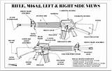 M16 Rifle Diagram Poster Side Left Parts Views Right Blueprints Information Weapons Drawing Marine Quotes Firearms Tech Rifles Choose Board sketch template
