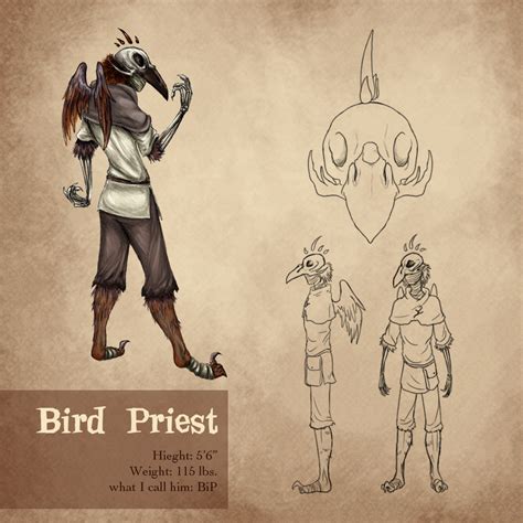 aatr bird priest  kitsune  deviantart