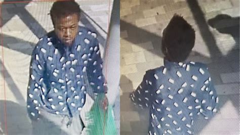 montreal police looking for assault suspect who allegedly