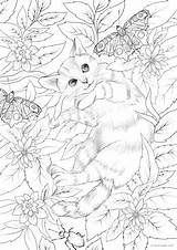 Favoreads Cats Colouring 4x6 sketch template