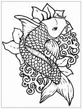 Coloring Pages Fish Koi Adult Adults Cool Realistic Printable Japanese Ocean Print Simple Galaxy Trippy Color Drawing Getcolorings Easy Kids sketch template