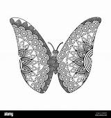 Colorazione Zentangle Farfalla sketch template