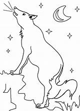 Coyote Coloring Pages Printable Wile Wylie Baby Leave Popular Comments Template sketch template