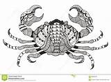 Crab Krebs Zentangle Sternzeichen Signe Stylized Corel Krabbe Betrag Abgehobenen Kanker Crabe Griffel Krab Freehand Styli Illustrazione Stylets Zodiaque Cancro sketch template